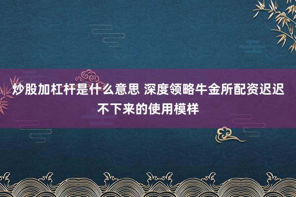炒股加杠杆是什么意思 深度领略牛金所配资迟迟不下来的使用模样