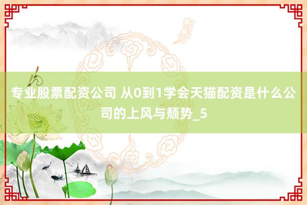 专业股票配资公司 从0到1学会天猫配资是什么公司的上风与颓势_5