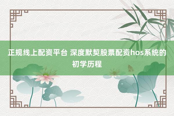 正规线上配资平台 深度默契股票配资hos系统的初学历程