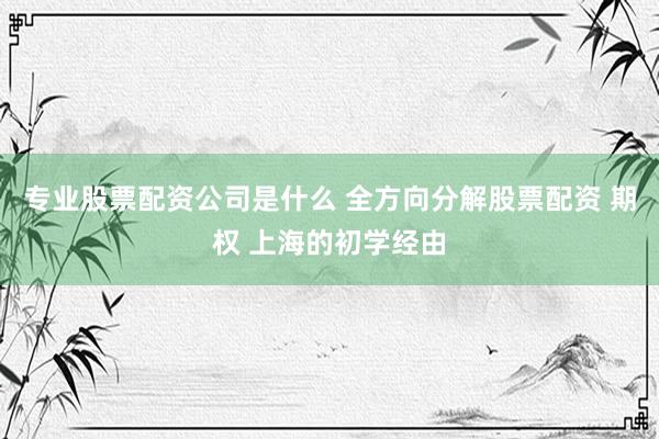 专业股票配资公司是什么 全方向分解股票配资 期权 上海的初学经由