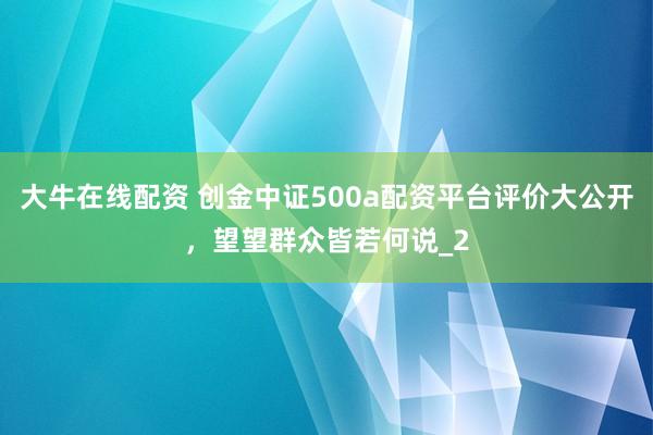 大牛在线配资 创金中证500a配资平台评价大公开，望望群众皆若何说_2