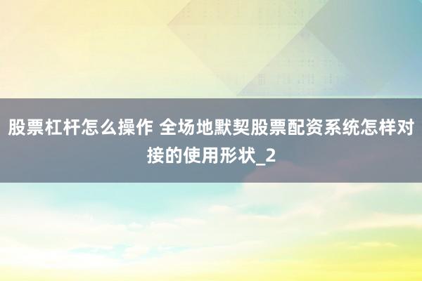 股票杠杆怎么操作 全场地默契股票配资系统怎样对接的使用形状_2